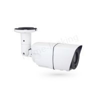 Home-Locking ip-camera met bewegingsdetectie en SONY ship POE 3.0MP.C-1213